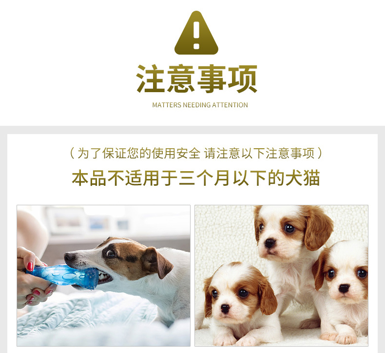 项圈_16.jpg