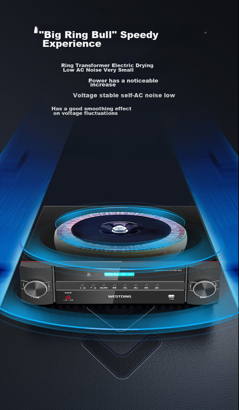 WESTDING Home KTV Sound System Complete Set, Karaoke Theater for Living Room And Store Commercial Use Professional Conference Package, 10-Inch Three-Way Speakers 106+393+K82 3