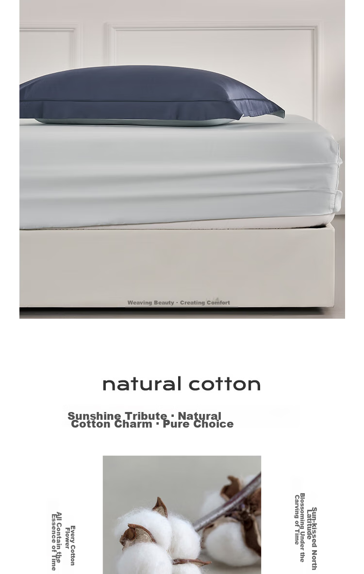 JIEBO 100-Count Pure Cotton Fitted Sheet, 1.5m X 2m, All-Cotton Class A Long-Staple Cotton, Single Bed Mattress Protector, Suitable for 1.5m Bed 3