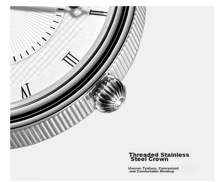 SEAGULL Men's Automatic Mechanical Watch, Bauhaus Date Display Men's Watch, Birthday Gift for Men, Model 6091 37