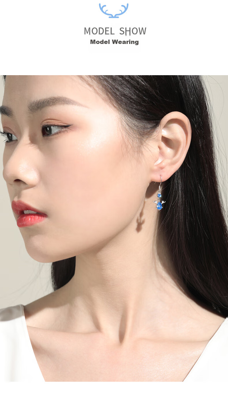 Dijing 999 Sterling Silver Earrings for Women, 2026 New Style Weekly Studs, Elegant High-End Ear Drops, Birthday Gift for Women And Wives 3