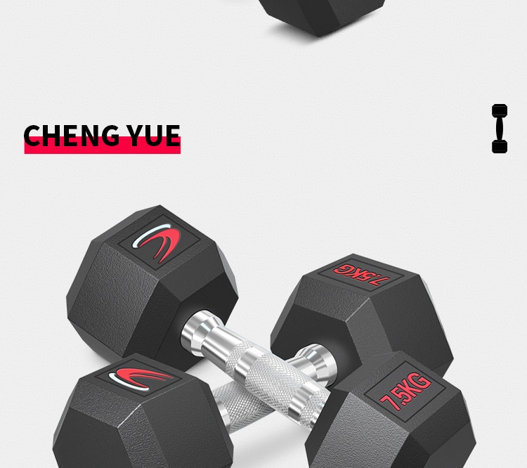 Chengyue Rubber-Coated Dumbbells for Men And Women, Hexagonal Home And Commercial Professional Gym Solid Steel Equipment Combination Set 3KG*2 27