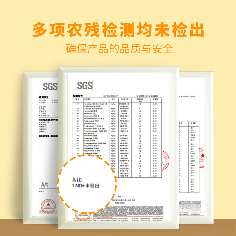 素养生活有机玉米粉3斤  纯玉米面粉 棒子面 窝窝头粉 苞米面 杂粮面粉