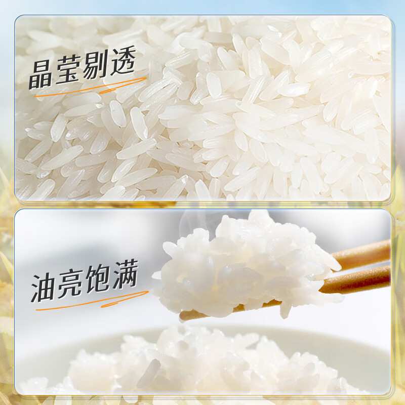 KO-KO(口口牌) 精选进口茉莉香米 大米10斤 长粒米 koko香米