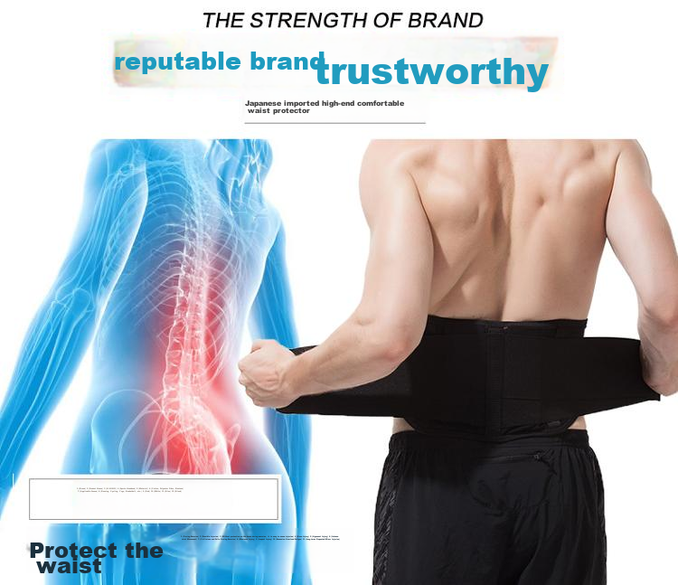D&M Lumbar Support Belt for Herniated Disc, Back Pain, Strain, Prolonged Sitting, Muscle Strain, Protection And Fixation, Imported from Japa 2