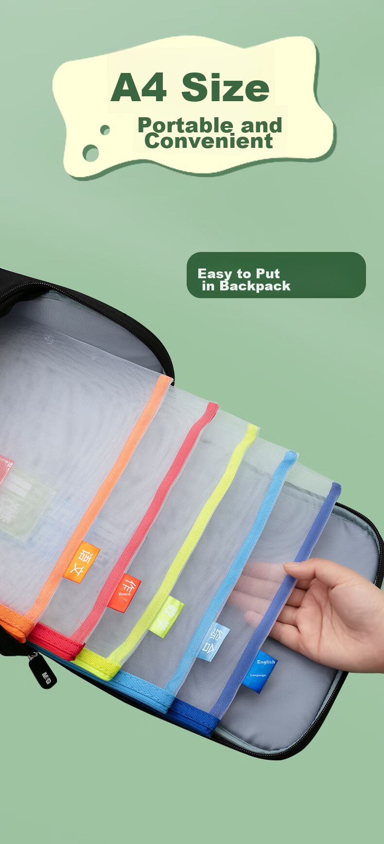 M&G Stationery, Double-Layer A4 File Folder, Transparent Grid Subject Classification Bag for Elementary Students, Exam Paper Subject Classification Zipper Bag, Book Homework Bag, Pack of 4 ADM929WC 13