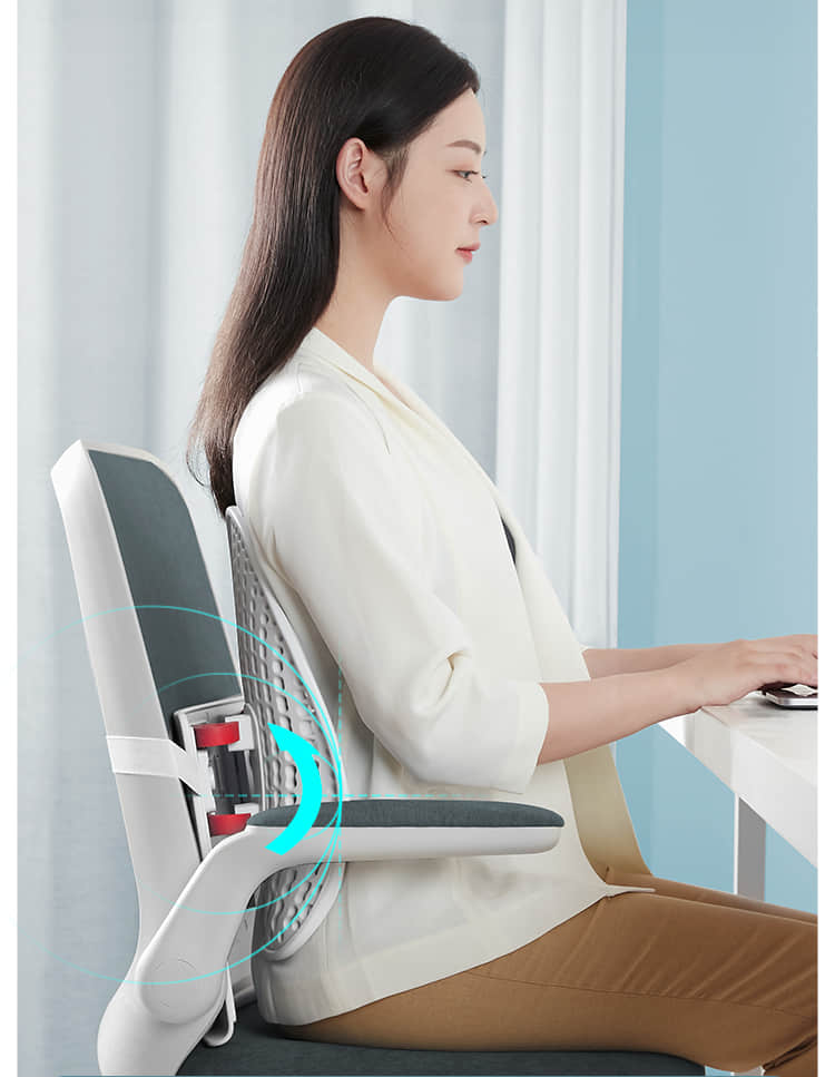 Leband Ergonomic Lumbar Cushion Backrest Waist Support Long Sitting Office Back Pillow Classic Memory Foam Model 6