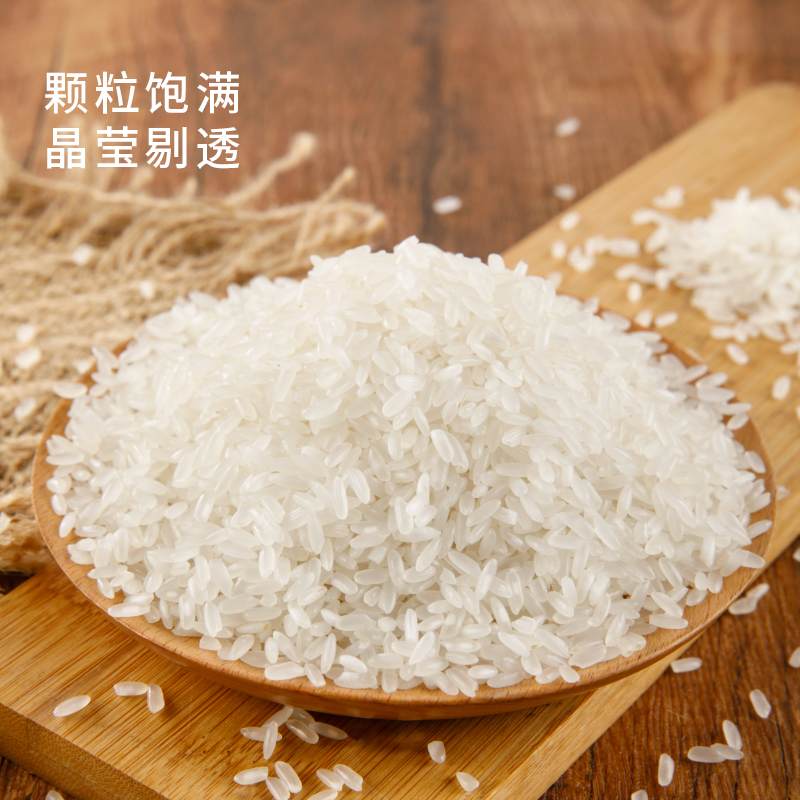 五米常香五常大米 10斤  新米 东北大米 当季 真空装