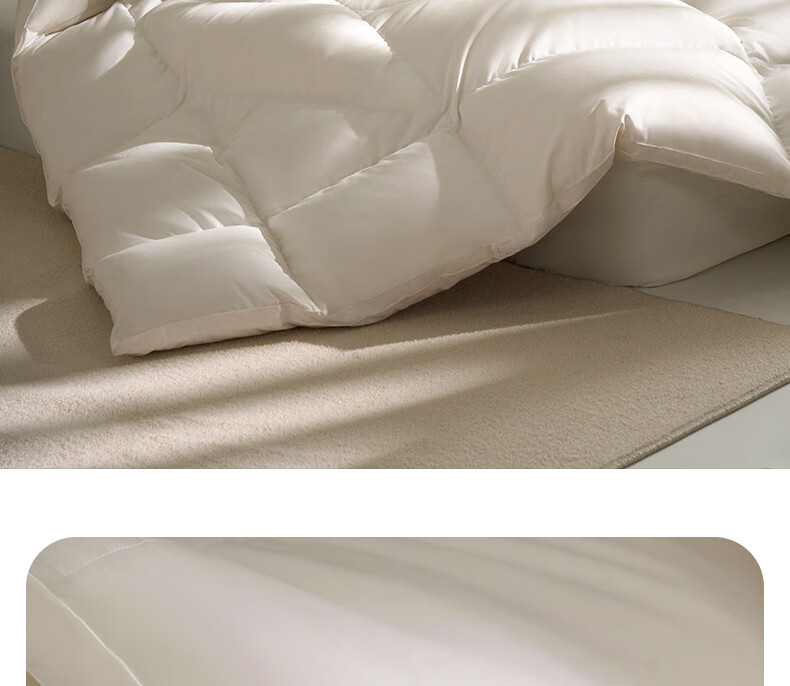 Interlagos Ergonomic 95% White Goose Down Comforter, Japanese Imported Duvet Insert, 700g Winter Quilt, 150*200cm 34