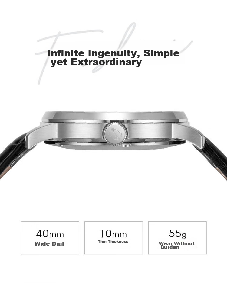 SEAGULL Men's Automatic Mechanical Watch, Bauhaus Date Display Men's Watch, Birthday Gift for Men, Model 6091 22