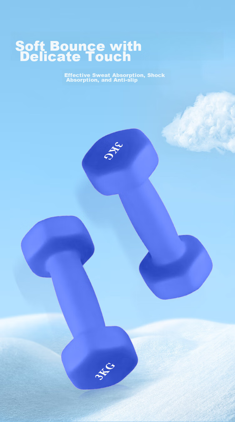 Chengyue Color-Coated Dumbbells for Men And Women, Home Fitness Shaping Equipment Set, 4kg*2 Gray CY-528 7