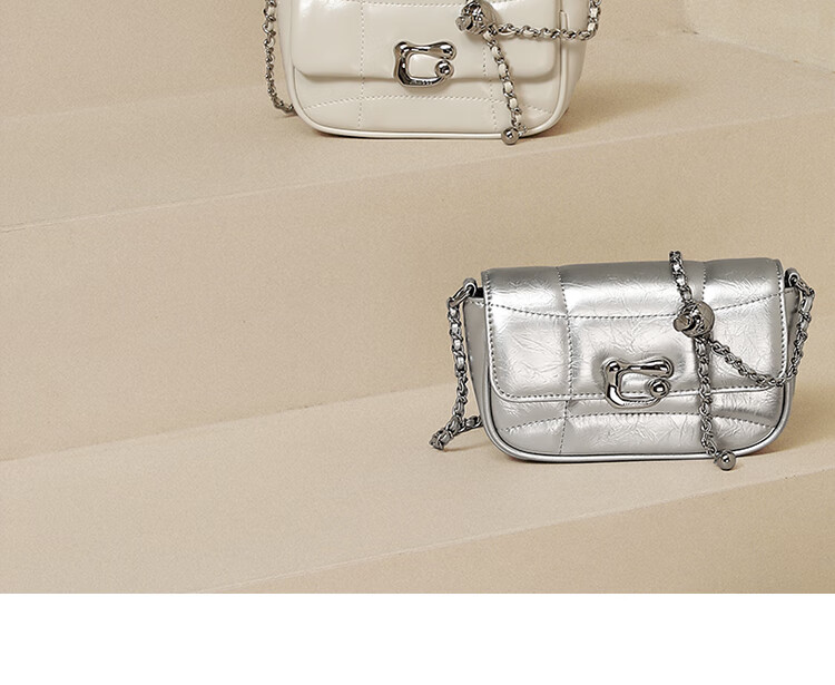 Mood New Versatile Chain Crossbody Bag, Light Luxury Niche High-End Exquisite Commuter Underarm Bag, Birthday Gift for Wome 10