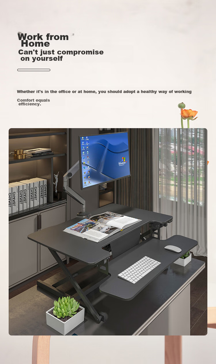 Loctek Height Adjustable Computer Desk, Standing Desk, Electric Lift Desk EM2M Elegant Black 21
