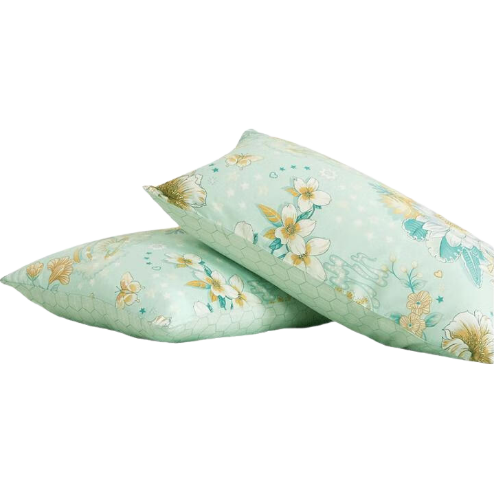 FUANNA Pure Cotton Pillowcase, All-Cotton Printed Pillowcase Cover, One Pair Set, Student Home Use 74*48CM, Qingge