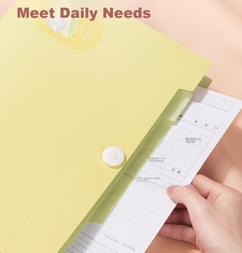 Deli A4/8 Pocket Accordion File Folder, Document Organizer Handbag, File Storage Folder for Primary, Middle And High School Exam Papers And Receipts, Document Protection Mixed Color PM303 12