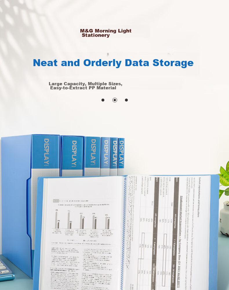 M&G 10 A4/60-Page Document Folders, File Insert Pockets, Student Exam Paper Storage Bags, Certificate And Sheet Music Collection Books, Office Supplies ADM929Z5 1