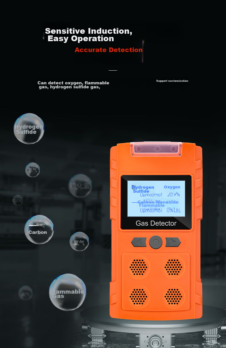 Beihai Pump-Suction Four-In Gas Detector, Combustible Gas Oxygen CO Hydrogen Sulfide, Confined Space Alarm PLT300-4 5