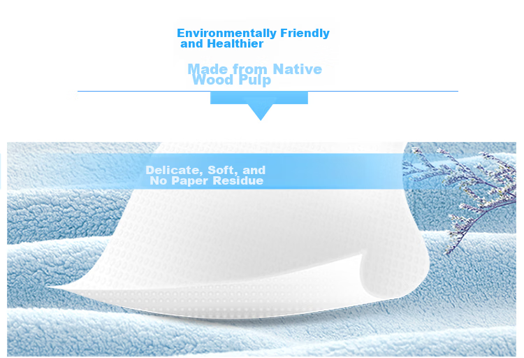 Hygienix Commercial Core Roll Toilet Paper, 2-Ply, 240 Meters * 12 Rolls, Whole Box of Toilet Paper for Shopping Malls, Hotels, And Office Use 6