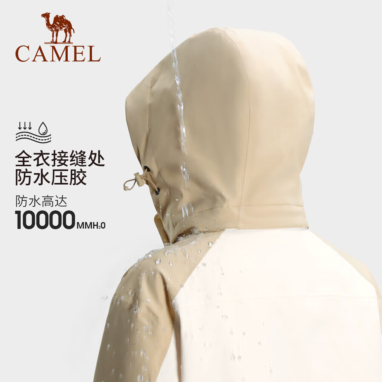 CAMEL (CAM-01244650
