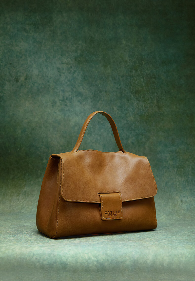 CASSILE Women's Handbag Tote Bag, Vegetable Tanned Top-Grain Leather, Large Capacity, Light Luxury Handbag, 520 Gift 1
