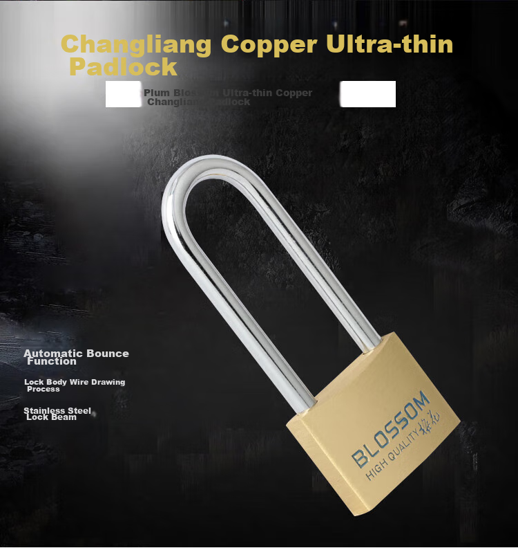 BLOSSOM Brass Padlock, Long Shackle Lock, Indoor Door Dormitory Lock, Waterproof Rust-Proof Lock, Student Drawer Cabinet Lock BC074L 2