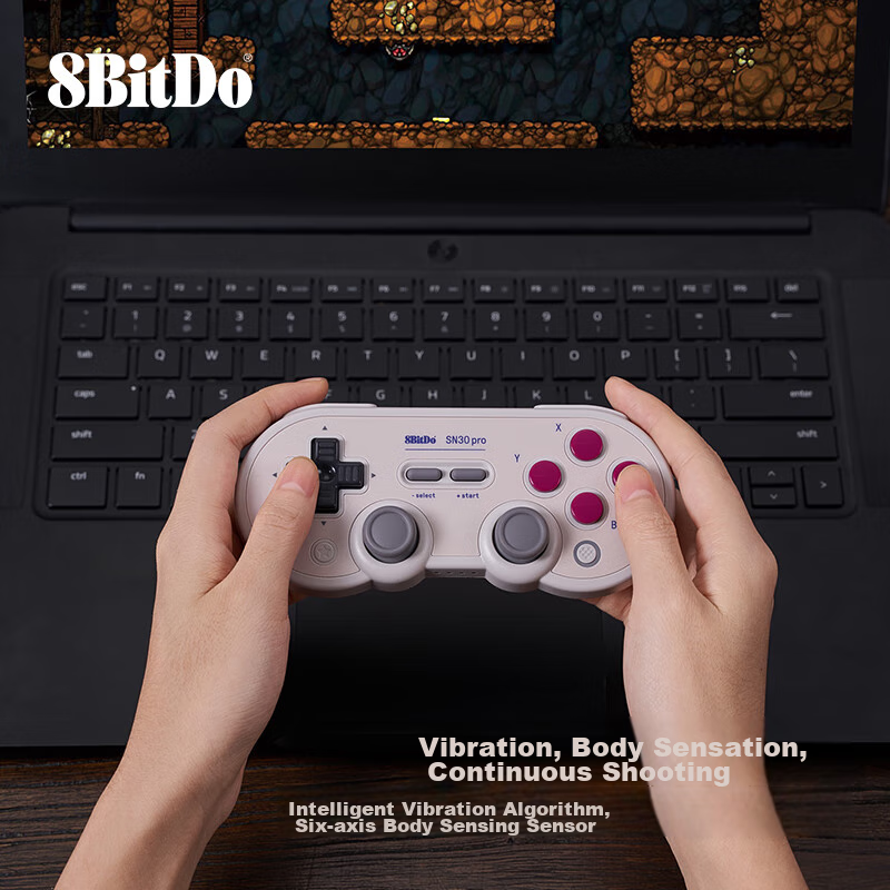 8BitDo...