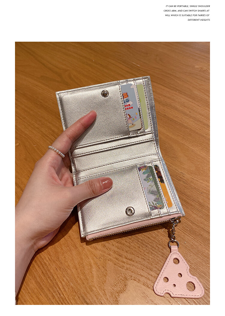Toutou Coin Purse, Woven Storage Card Holder, Multi-Card Slots, Large Bill Clip, Silver Clutch, Gift for Girls And Best Friends, Travel And Birthday Present 15