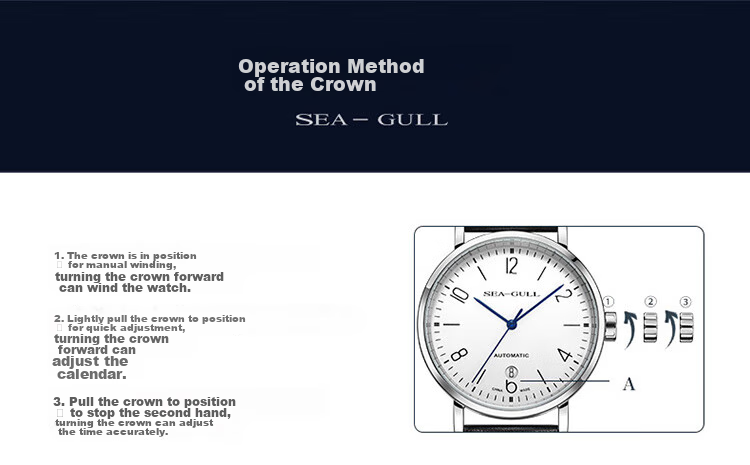 SEAGULL Men's Automatic Mechanical Watch, Bauhaus Date Display Men's Watch, Birthday Gift for Men, Model 6091 9