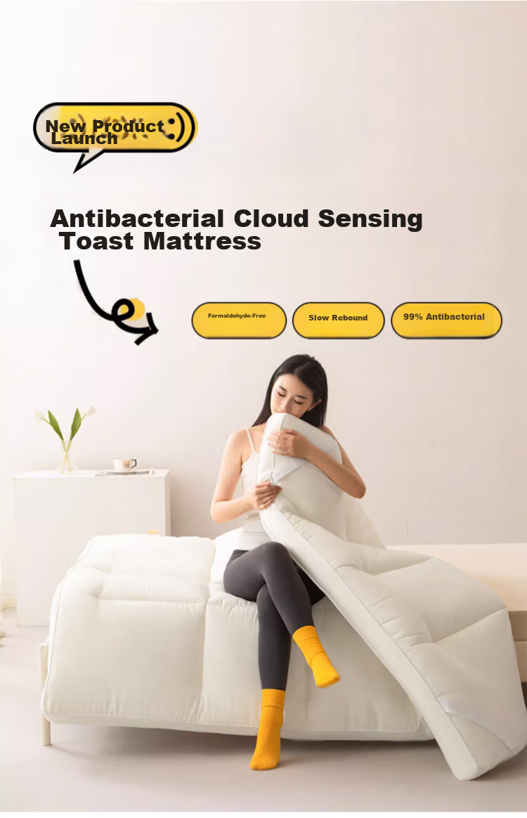 La Torretta Hotel Soft Mattress, Antibacterial Soybean Double Dormitory Mattress Tatami Pad, 1.8*2 Meters - White 1