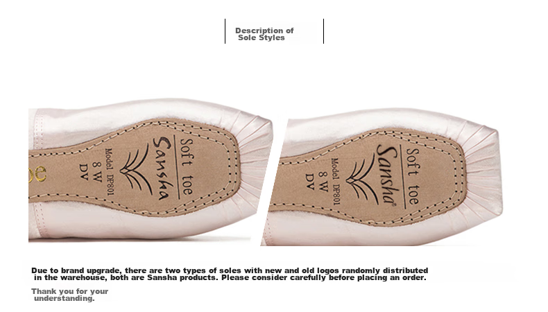 Sansha Princess Ballet Pointe Shoes, Satin Practice Shoes, Leather Sole Dance Shoes, Hard Shoes DP801SL, English Satin, Size 38 3