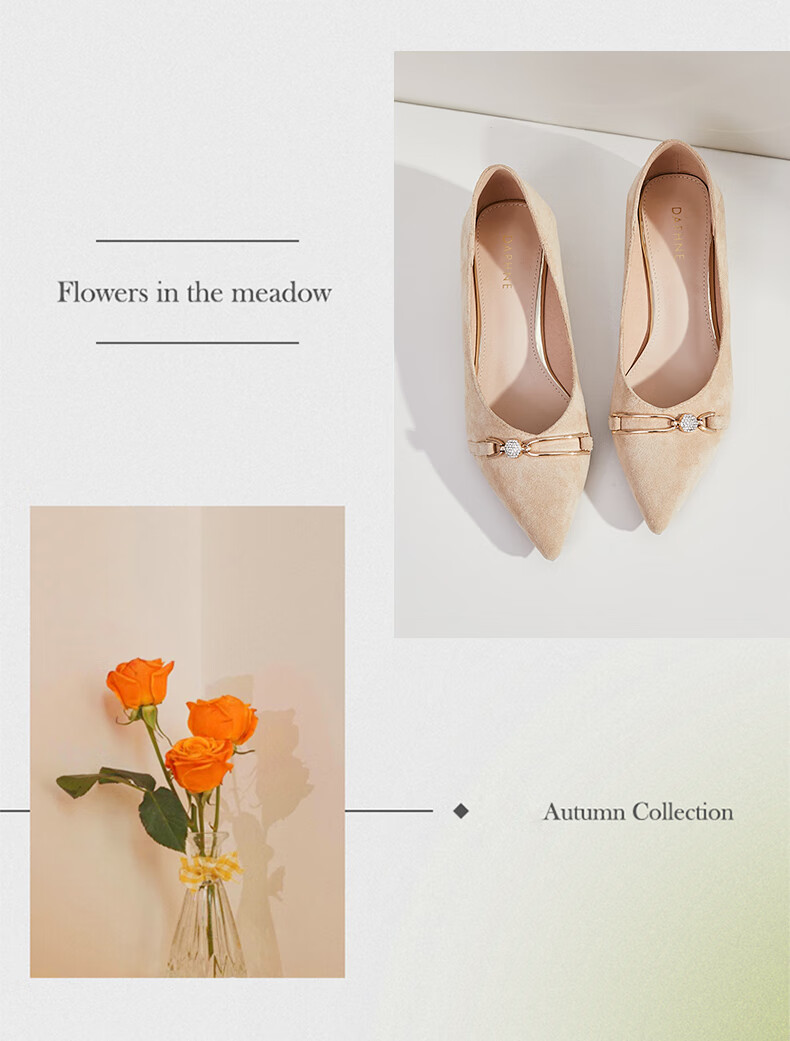 DAPHNE Women's Single Shoes, Professional Work Shoes, Fashionable Elegant Pointed Toe Chunky Heel Square Heel Comfortable Versatile Women's Shoes 4622101003 Beige 36 2