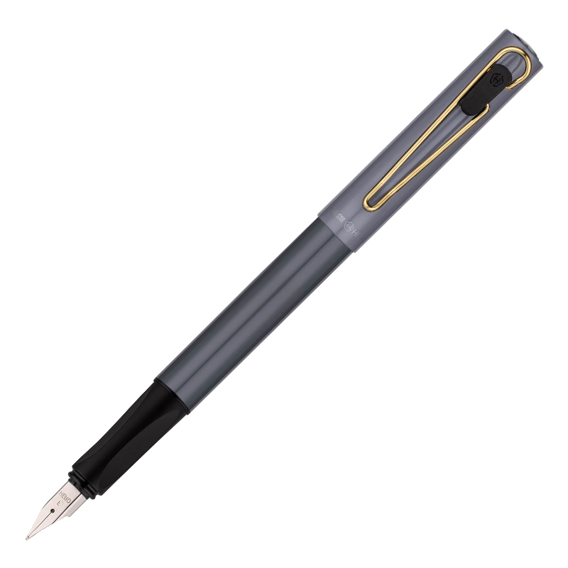 HERO Fountain Pen E501, Iridium Nib, Ergonomic Design, Stylish Business Office Daily Writing Practice Pen, EF Nib, Gray Bright Lacquer