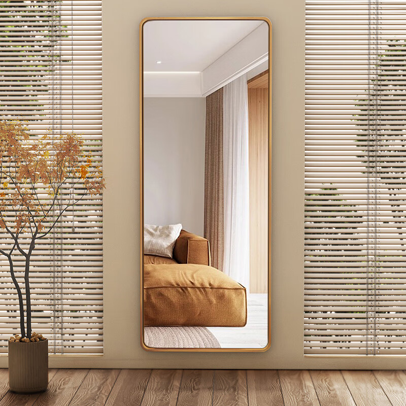 Anerya Full-Length Mirror Wall-Mounted Live Streaming Non-Floor Standing Mirror for Bedroom And Dormitory, Large Fitting Mirror 40*150 Champagne Gold