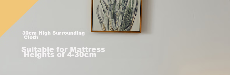 Hengyuanxiang Pure Cotton Fitted Sheet Single Piece Class A Antibacterial Full Coverage Dustproof Bed Cover Quilted Non-Slip Mattress Protector 180*200cm 25
