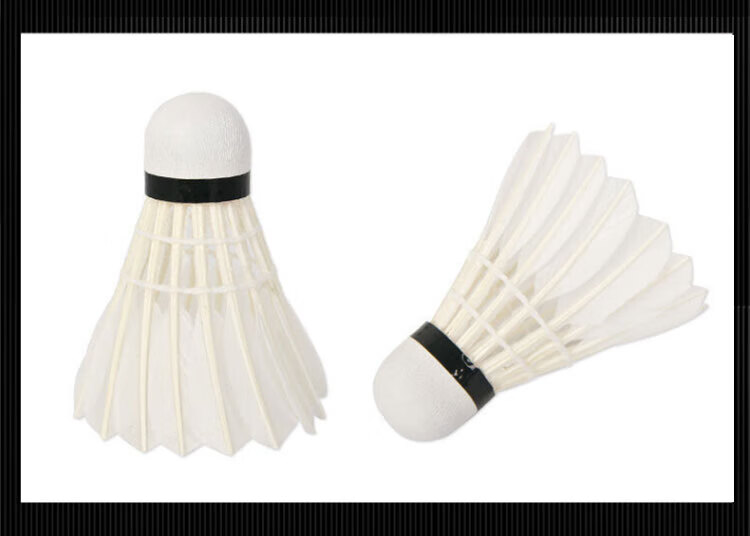 DHS Badminton Shuttlecocks, Durable Training And Competition Grade, Goose Feather, Pack of 6, Model 402A 6