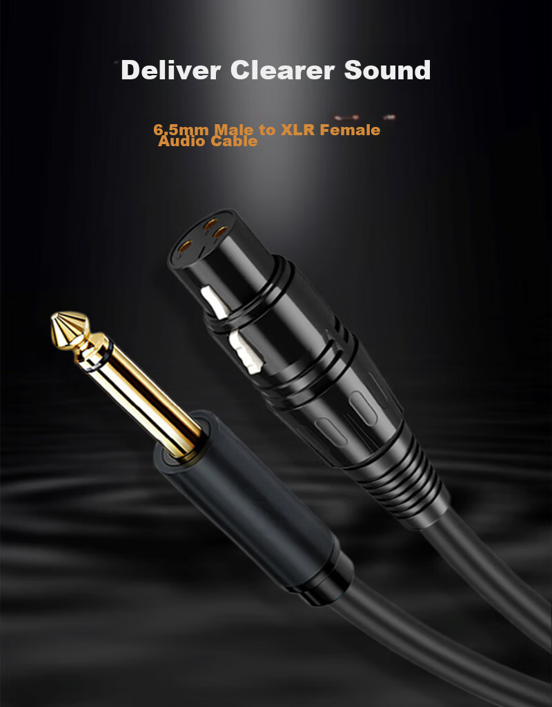 Beishanque 6.35mm to XLR Female Cable, Male to Female Audio Microphone Cable, Dual-Core XLR Single-Channel Connector for Microphone, Mixer, Speaker Amplifier Connection Cable, 5 Meters 1
