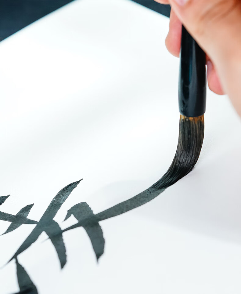 Rongbaozhai Wolf Hair Brush Set Soft Brushes for Calligraphy Practice in Large, Medium, And Small Regular Script. Four Treasures of The Study for Calligraphy And Chinese Painting. Copybooks for Adults, Beginners, Students. Wolf Hair Calligraphy And Painting Brushes 12