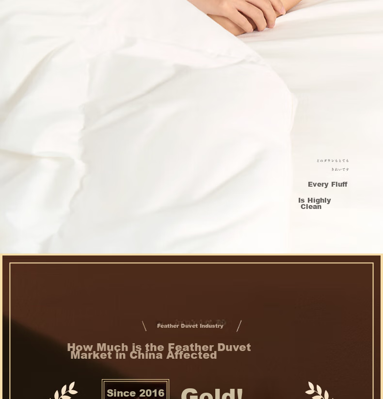 Interlagos 98% White Goose down Duvet, 180 Count Cotton Fabric, Imported from Japan, Winter Comforter 1200g, Thickened Version, 200*230 24