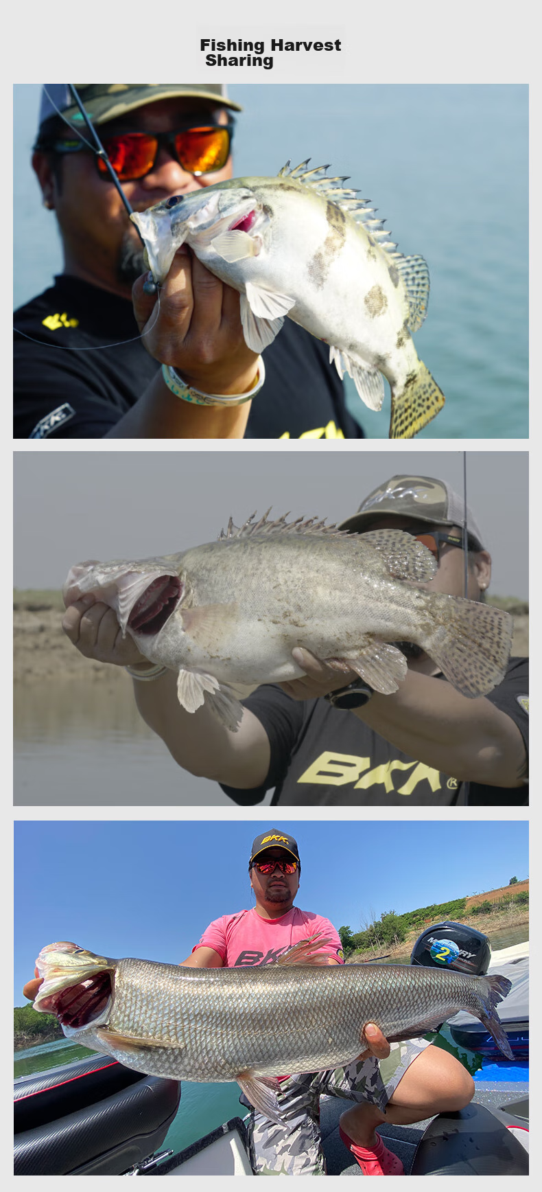 BKK Round Fine Hook Lure Soft Bait Hook Anti-Snagging Bottom Hook for Bass And Mandarin Fish Fishing 9099 9