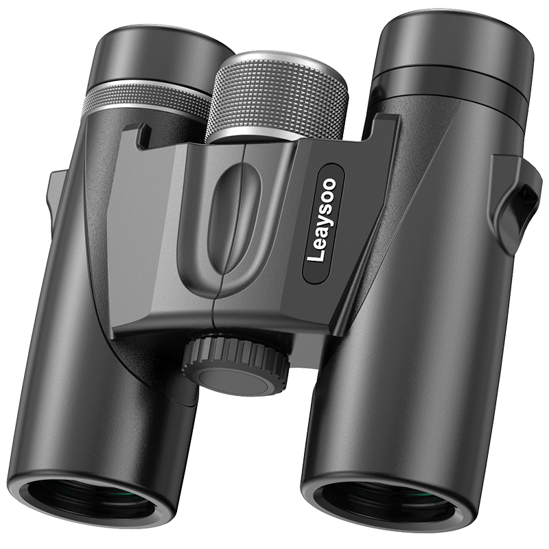 Leaysoo 10X26 High Magnification Binoculars with Wide-Angle View for Concerts, Outdoor Travel, Portable, And Smartphone Use
