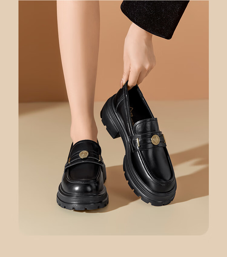 Dusto Women's Loafers, Spring 2026 New Fashion Casual Elegant Chunky Mid-Heel Slip-On Round Toe Shoes for Wome 2