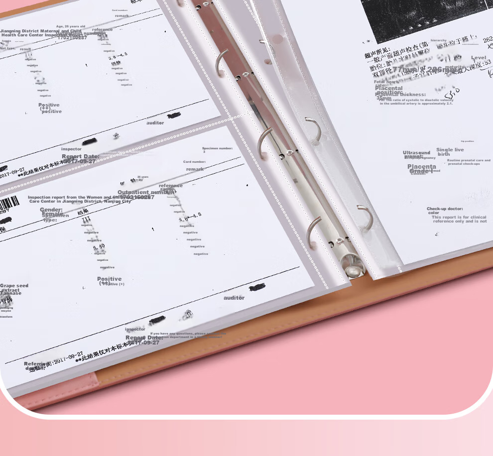Jiaranheng Pregnancy Check-Up Organizer, Prenatal Report A4, Pregnancy Record Book, File Storage Bag, Loose-Leaf Portable Ultrasound Examination Form, Document Folder, Large Capacity Collection Book, Pink 13