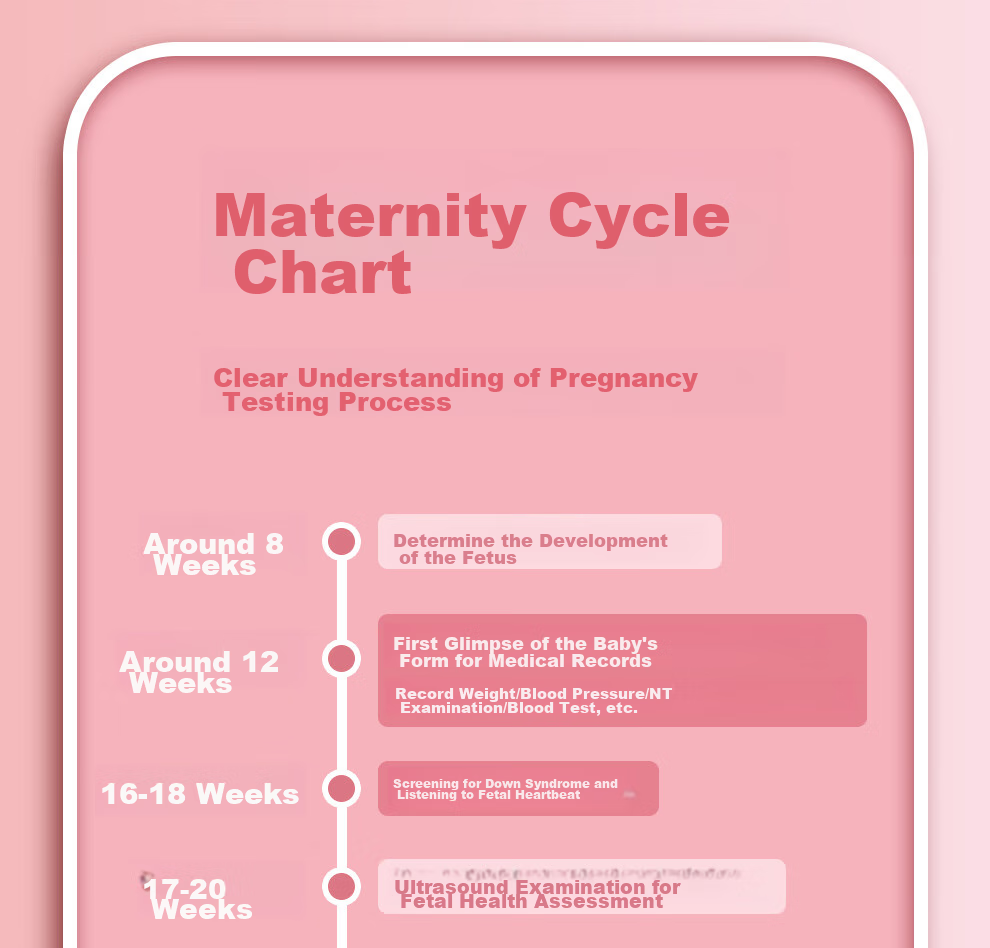 Jiaranheng Pregnancy Check-Up Organizer, Prenatal Report A4, Pregnancy Record Book, File Storage Bag, Loose-Leaf Portable Ultrasound Examination Form, Document Folder, Large Capacity Collection Book, Pink 3