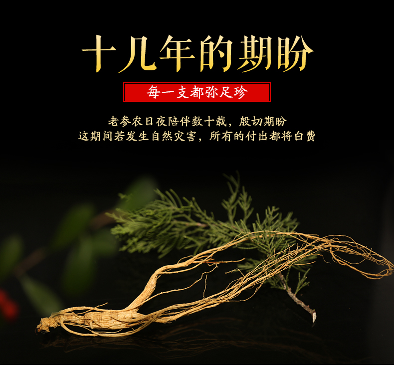 2019林下参礼盒_03.jpg