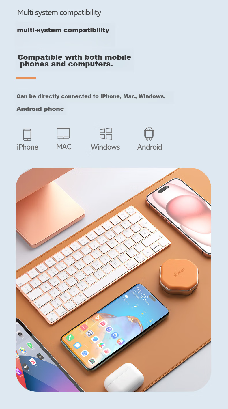 VEIGLO Portable Solid State Drive 500GB (PSSD), Direct Connection to Apple Phones via Type-C 3.2, Compatible with IPhone 16, Android Phones, And Computers, External Hard Drive 6