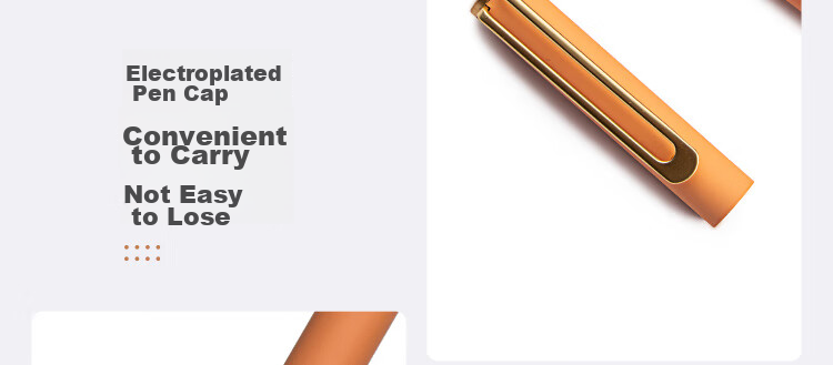 TIANSE 0.5mm Signature Pen Metal Gel Pen Stylish Design, Annual Meeting Gift, New Year Gift, Teacher's Day Gift, High-End Heavy-Feel Business Pen with Bullet Tip, TS-1220 Black Barrel Black Ink 16