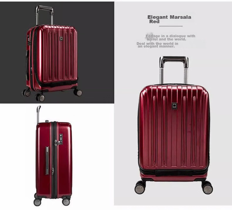 DELSEY Luggage Suitcase, 20-Inch Carry-On, Spinner Wheels, Travel Case with Password Lock 18