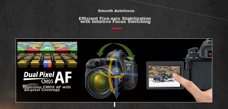 Canon [Official Flagship] 6D2 Professional Full-Frame DSLR Camera, 4K Time-Lapse Short Film, High-Definition Portrait Shooting, 6D Second Generation Canon Vintage DSLR Camera Body 13