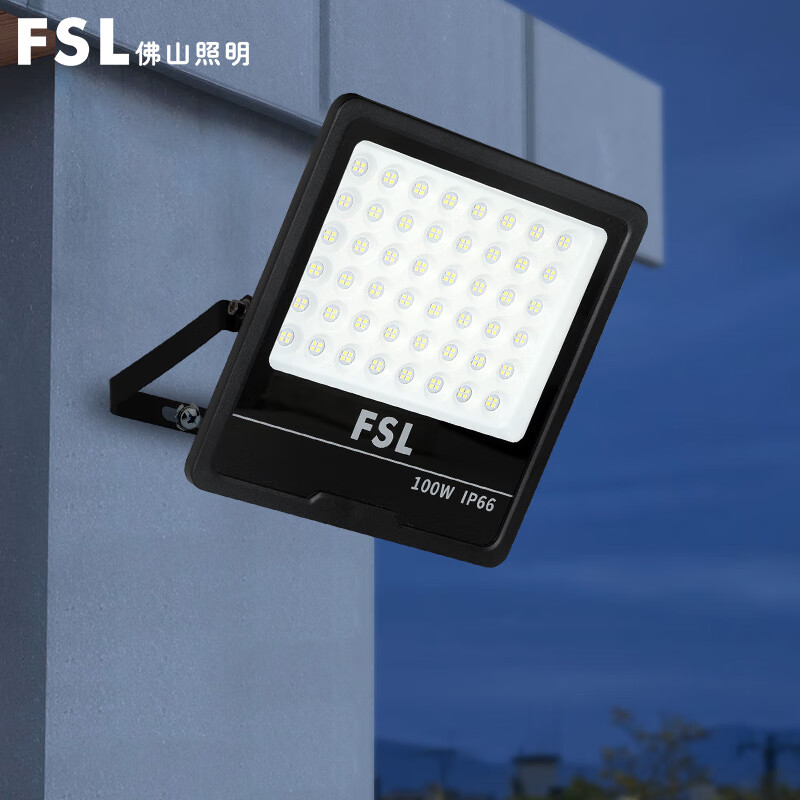 FSL Foshan-01311292