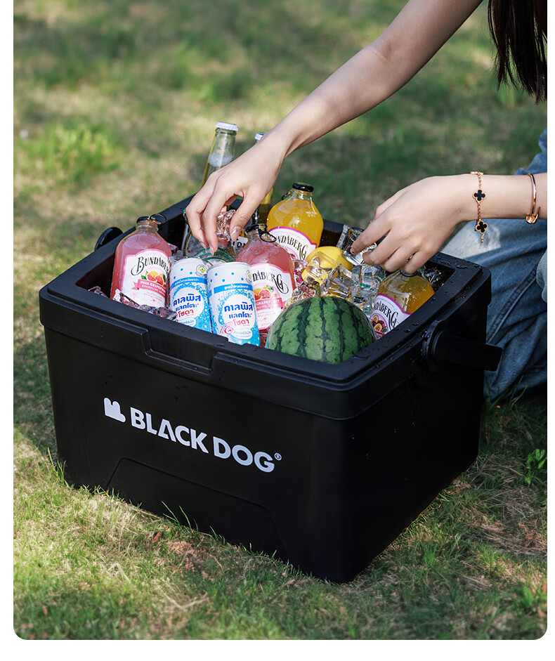 Black Dog Outdoor Cooler Box for Camping, Picnic, Cold Storage, Food Preservation, Takeout And Fishing, 25L Night Black 10
